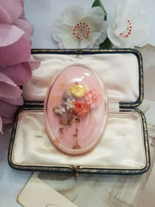 Gorgeous Vintage 1940s Celluloid Plastic Dried Flowers Dome Brooch - Oval Pink