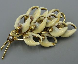 Show Stopper Vintage Jewelry Natural Sea Shell Flower Brooch Pin Rhinestone Lotp