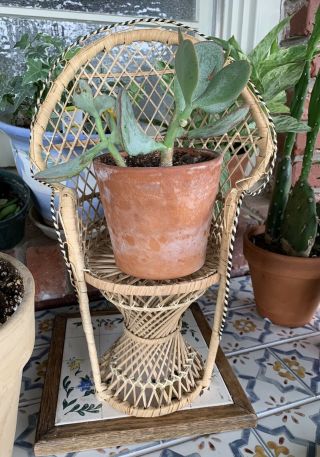Vintage 70s Rattan Wicker Mini Peacock Plant Stand Chair