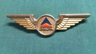 Vintage Plastic Delta Air Lines Badge Jr Pilot Flight Attendant Wings Pin Dv15