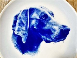 Weimaraner Dog Collectible Lekven Blue Denmark Plate Dogplate Figure Hunting Vtg