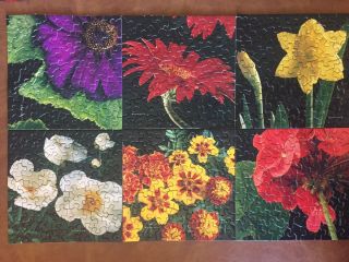 Vintage Springbok Multi - Puzzle 6 Mini Puzzles " A Rainbow In Bloom " 100 Complete