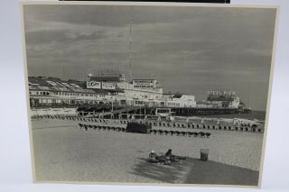 Vintage Steel Pier Atlantic City Boardwalk Photo 8 " X 10 1950 