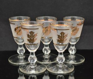 Vintage Libbey Gold Leaf Liqueur Cordials Shot Glasses Set Of 5