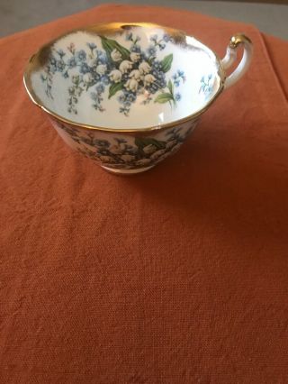 Vintage Adderley Blue Flower Tea Cup Gold Trim Bone China England (nf)