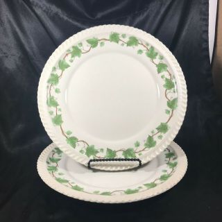 Vintage Harker Royal Gadroon Ivy 10” Dinner Plates