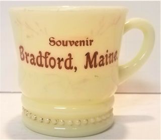 Vintage Yellow Custard Glass Cup,  Souvenir Bradford,  Maine / 06