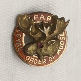 Vintage Loyal Pap Of Moose Pin Purity,  Aid & Progress Lodge Pin Marked