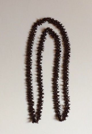 Vintage Hawaiian Koa Seed Necklace Lei