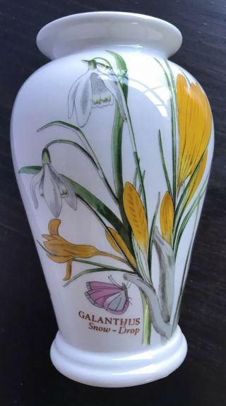 Vintage The Botanic Garden Vase 1972 Susan Williams Crocus Galanthus