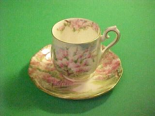 Vintage Royal Albert Blossom Time Demitasse Cup And Saucer Gold Trim