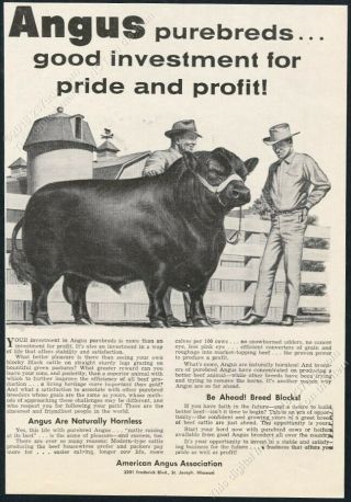 1959 Black Angus Cattle Cow Bull Art American Angus Association Vintage Print Ad
