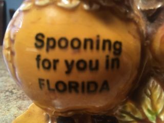 Vintage Owl “Spooning for you in Florida” Measuring Spoons.  Japan 4