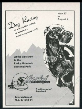 1955 Greyhound Racing Art Cloverleaf Greyhound Park Racetrack Vintage Print Ad