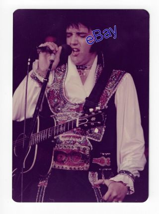 Elvis Presley Concert Photo - 1975 Gypsy - Jim Curtin Vintage & Rare