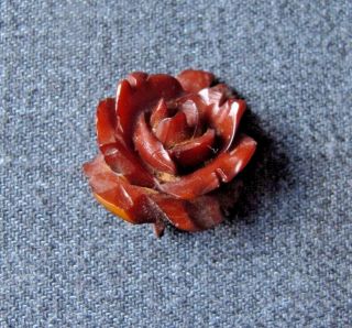 Vintage Deeply Carved Butterscotch Celluloid Rose Applique Embellishment A125