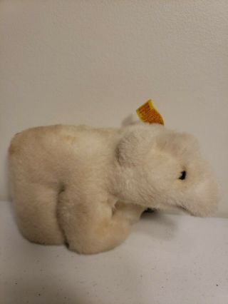 Vintage Steiff " Starli " Polar Bear W/ear Tag