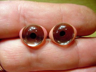 A Pair Vintage Solid Glass Eyes Size 16 Mm Teady Bear Taxidermy Age 1910 A.  1186