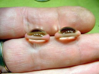 a pair vintage solid Glass Eyes size 16 mm teady bear taxidermy age 1910 A.  1186 3