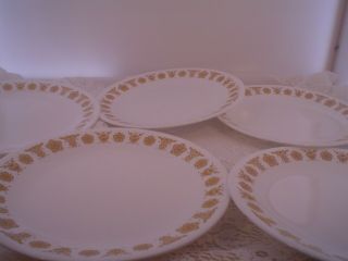 Set 5 Vintage Corelle Golden Butterfly Luncheon Salad Plates Yellow 8.  5 "