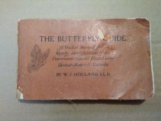 Vtg Book 1915 The Butterfly Guide Wj Holland Dedicated To Boy Scouts Of America