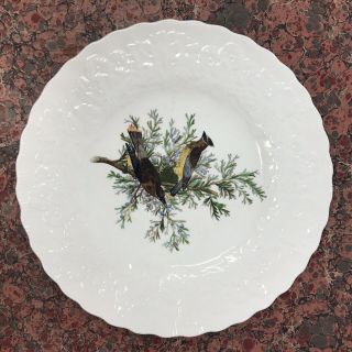 Vintage Alfred Meakin England " Birds Of America " 10.  75 " Dinner Plates 43 Cedar