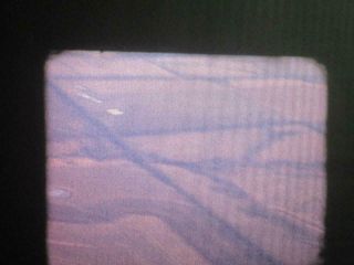 VINTAGE 16MM HOME MOVIE 1956 FOOTAGE WATER,  FROM PLANE HOUSE FLOWERS SMALL REEL 2