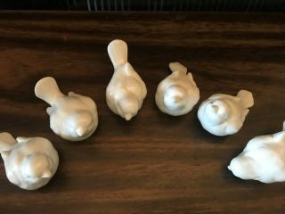 Set Of 6 Vintage Ceramic Birds Figurine