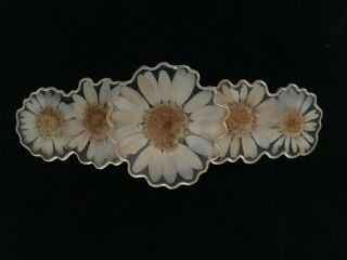 Vintage Real Pressed Daisies Flower Barrette - - French - Made Clip