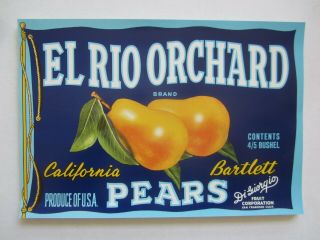 Of 50 Old Vintage El Rio Orchard Pear Labels - San Francisco Ca.