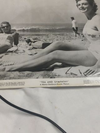 Vintage Black And White Photo Of Deborah Kerr 56/391 2