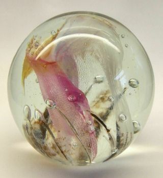 Vntg Isle Of Wight Glass Paperweight - Flame Prunt & 31.  5 Mm White Paper Label