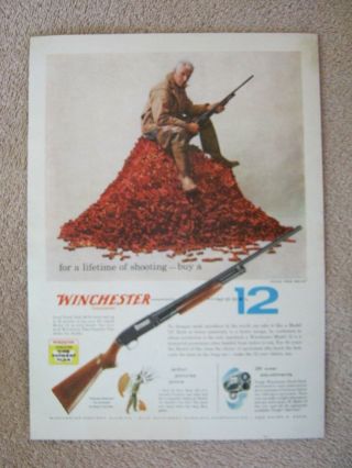 Vintage 1956 Winchester Model 12 Shotgun For A Lifetime Of Shooting Print Ad