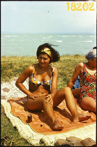 Sexy Girl In Bikini Sunbathing At Lakeside,  Sunscreen,  Vintage Slide 1970’s,