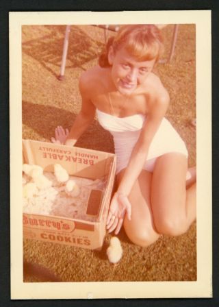 Smiling Sexy Woman Swimsuit Vintage Photo Snapshot 1950s Chicks Summer Legs