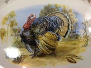 Vintage China Turkey Platter Thanksgiving 15.  75 x 11.  75 Gold Trim 2