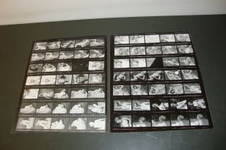 2 Vintage Black And White 10 X 8 Sheet Of Nude Women Models Photos 1970s