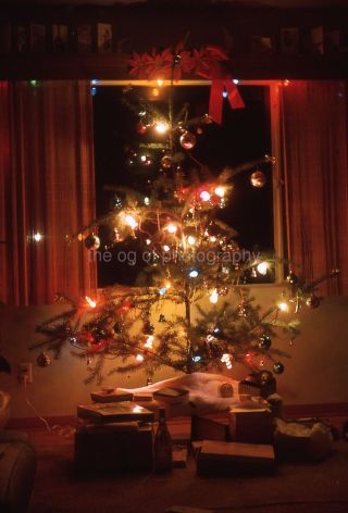Funky Christmas Tree Vintage 35mm Found Slide Transparency Photo 2