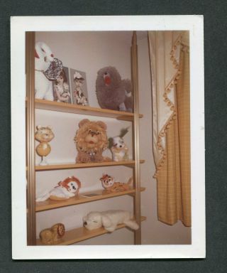 Vintage Polaroid Photo Big Eye Kids Art Stuffed Animals On Shelves 991046