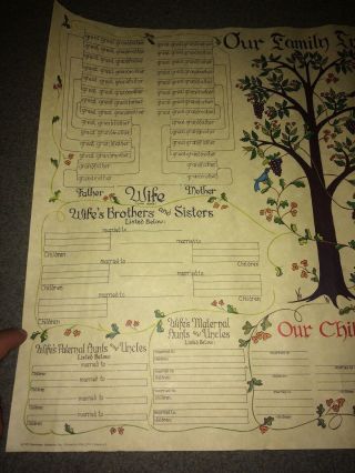 Our Family Tree Pennsylvania Dutch Vintage Blank Genealogy Chart Stevenson 1975 2