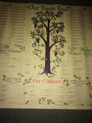 Our Family Tree Pennsylvania Dutch Vintage Blank Genealogy Chart Stevenson 1975 4
