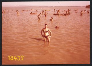 Sexy Girl Posing In Bikini,  Lake Balaton,  Vintage Photograph,  1970’s