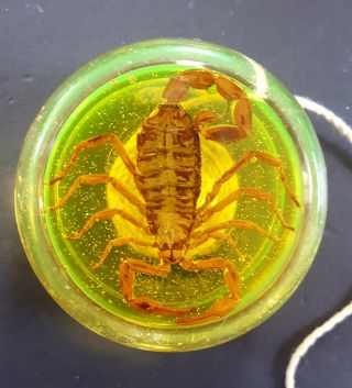 Vintage Stinger Yellow Sparkle Real Scorpion Inside Yo - Yo Yoyo