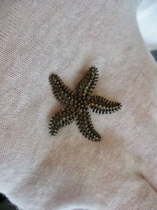 Vintage.  925 Sterling Silver Textured Starfish Pin Signed