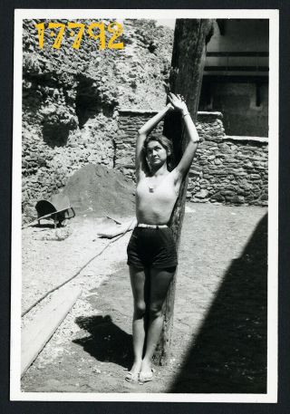 Sexy Woman Posing At Tree,  Shorts,  Legs Vintage Photograph,  1960’s Hungary