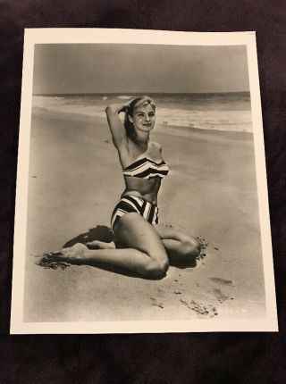 Joanne Woodward Actress Vintage 8 X 10 Photograph From Irving Klaws Archives