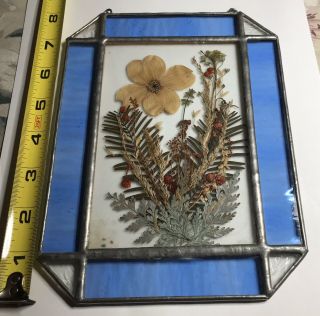 Vintage Stained Glass Pressed Flower Sun Catcher