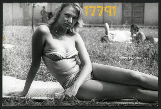 Sexy Blonde Girl Sunbathing In Bikini,  Swimsuit,  Vintage Photograph,  1960s