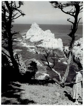 1960 Vintage Photo Women On Her Camera At Point Lobos Reserve California