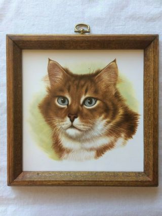 Vintage Cat Tile In Wood Frame Wall Hanging Orange & White Tabby 7 - 1/4 " Square